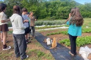 Morningside Urban Farm - 4 Morningside Urban Farm