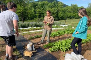 Morningside Urban Farm - 5 Morningside Urban Farm