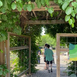 Morningside Urban Farm - 7 Morningside Urban Farm