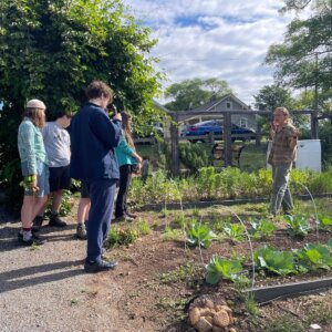 Morningside Urban Farm - 8 Morningside Urban Farm