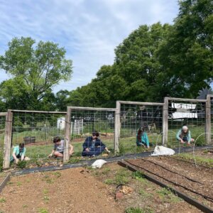 Morningside Urban Farm - 9 Morningside Urban Farm