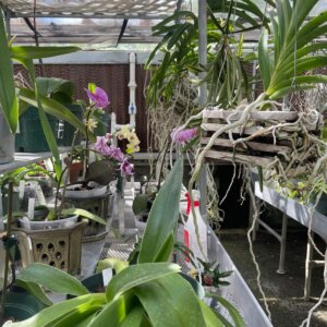 VW Class Trip - 7 Farms class at VWCC