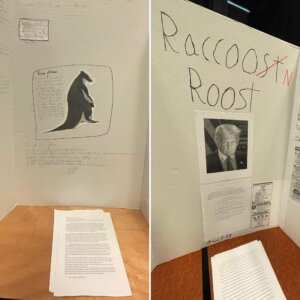 World Building Class Posters - Raccoonstn Roost & River gOream World Building Class