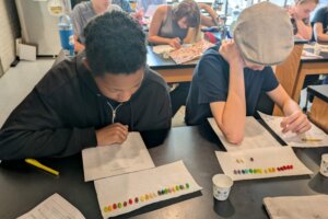 Jelly Bellies - 1 Jelly Bellies - 1