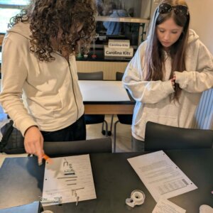 Linnaean fastener - 1 Linnaean fastener project