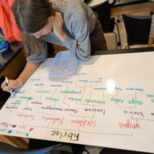 Linnaean fastener - 3 Linnaean fastener project