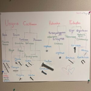 Linnaean fastener - 5 Linnaean fastener project
