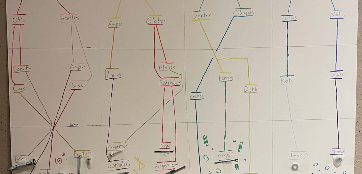Linnaean fastener project
