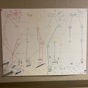 Linnaean fastener - 7 Linnaean fastener project