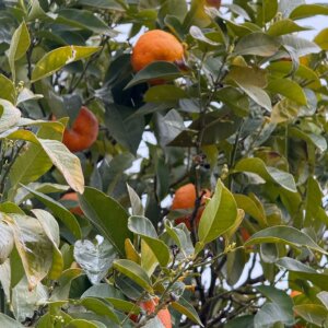 Spain Trip 2025 - 3:23 - 137 Spain Trip 2025 - 3:23 - 137