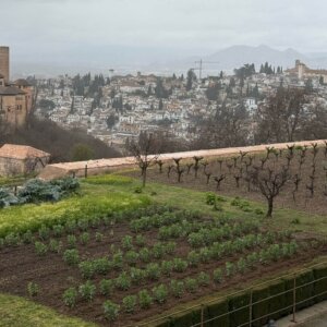 Spain Trip 2025 - 3:23 - 139 Spain Trip 2025 - 3:23 - 139