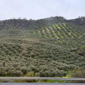 Spain Trip 2025 - 3:23 - 14 Spain Trip 2025