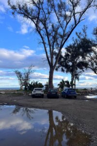 Spain Trip 2025 - 3:23 - 182 Spain Trip 2025