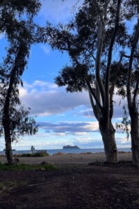 Spain Trip 2025 - 3:23 - 184 Spain Trip 2025