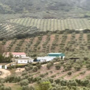 Spain Trip 2025 - 3:23 - 20 Spain Trip 2025