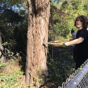 CS Day Fall 2025 - 230 CS Day Fall 2025