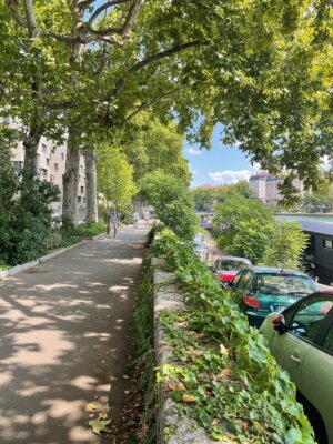 Odessa in Lyon 2 Odessa in Lyon