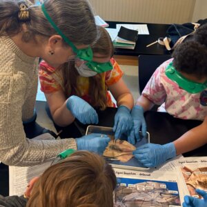 Squid Dissection - 30 Squid Dissection - 30