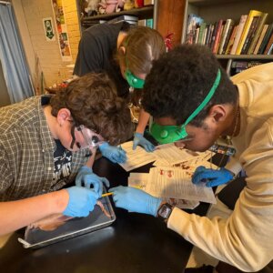 Squid Dissection - 7 Squid Dissection - 7
