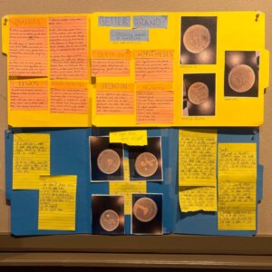 Biology Posters - 2 Biology Posters