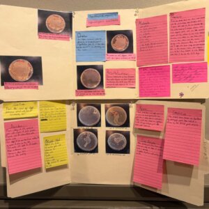 Biology Posters - 4 Biology Posters